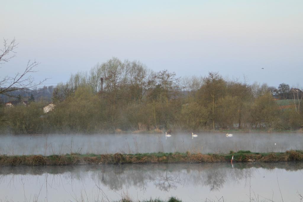 Ruhige Ferienwohnungen mit Teichblick Wetterfeld Exterior foto